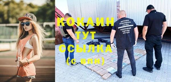 дмт Алзамай