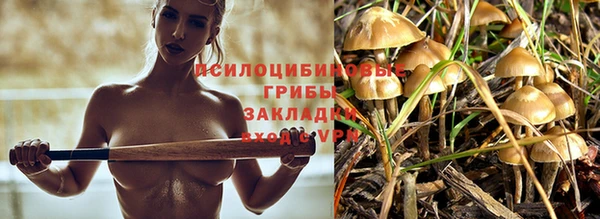 соль курить ск Алексеевка