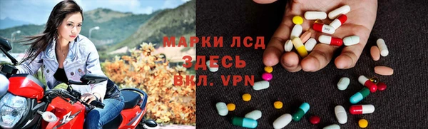 дмт Алзамай