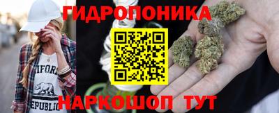 гашик Жуковский