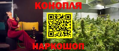 гашик Жуковский