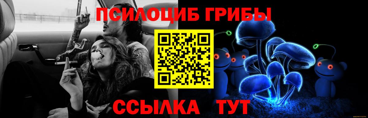 Михайловск  где продают   Вход с VPN  Псилоцибиновые грибы Psilocybe 
